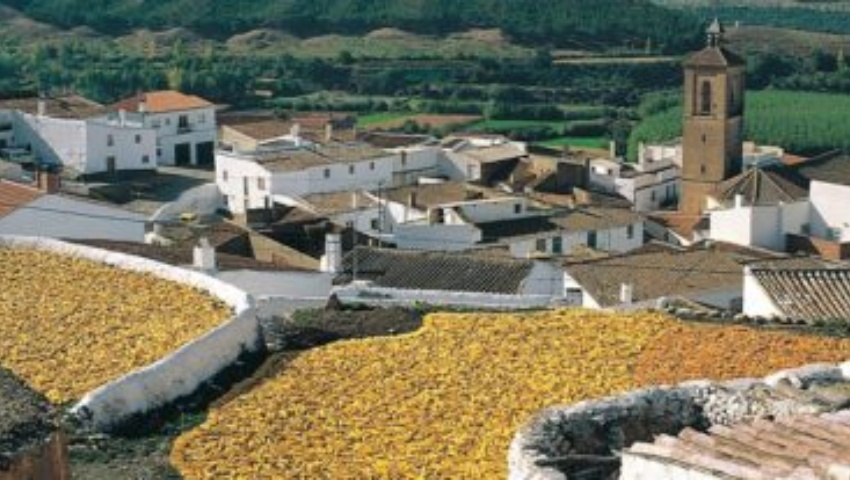 Valle-del-Zalabi-370x207 (1) Valle-del-Zalabi-370x207 (1)