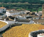 Salió cruz: la moneda decide la alcaldía del Valle del Zalabí a favor del PSOE